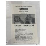 Wanted Poster of 