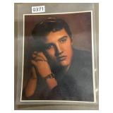 Portrait Prints in Plastic Sleeves