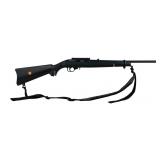 Ruger 10/22 .177 Air Rifle