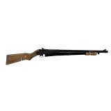 Daisy No. 25 BB Gun Air Rifle