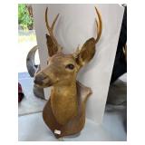 Deer Mount Taxidermy on Wooden Plaque
