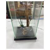 Mallard Duck Display Case by Menard