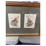 Framed Etchings of Birds Signed by Artist