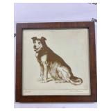Framed Diana Thorne Dog Illustration