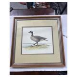 Framed Waterfowl Print, 15 1/2 x 15 1/2