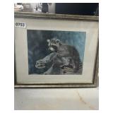 Charles Frace Signed Raccoon Print 15x12' Framed