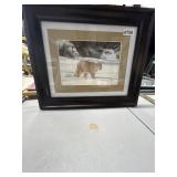 Charles Frace Cougar Print Framed 18x15'