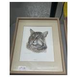 Charles Frace Bobcat Print Framed 12x15'