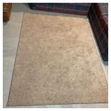 Beige Plush Area Rug Rectangular