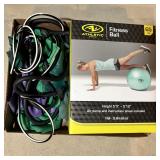 Fitness Ball & Resistance Bands Exercise Bundle