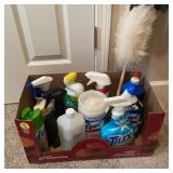 Household Cleaning Supplies Lot