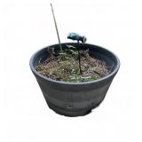 Large Outdoor Barrel-Style Plastic Planter