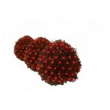 4 Holiday Time 4'x6' 150ct Red Net Light Sets