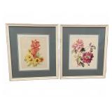 Pair Framed Botanical Floral Prints Signed