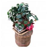 Wicker Basket Set With Faux Floral Arrangement