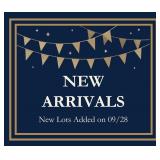 175 New Lots Added on 09/28 - Read Description