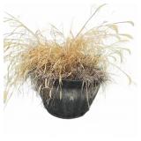 Large Black Outdoor Planter With Grass