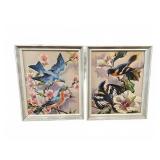 Birds & Blossoms Framed Watercolor Prints Pair