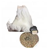 Antique Floral Sun Bonnet & White Petticoat