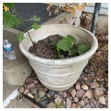 Large Outdoor Cement Planter