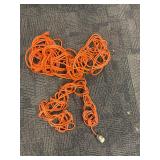 (2)- EXTENSION CORDS