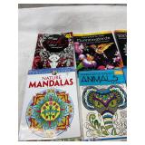 Large lot of adult coloring books colored pencils
