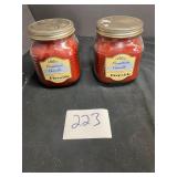 2 blue mountain candle lot fireside double wick