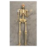Halloween Prop Skeleton