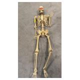 Animated LED Skeleton Prop