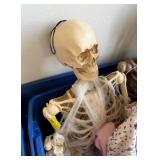 Full Body Halloween Skeleton Decor