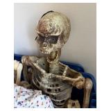 Full Body Halloween Skeleton Decor