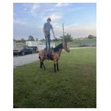 Xander's Cognac Landslide - Reg Buckskin TWH Mare