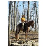 Josie - 4 YO Red Roan TWH Mare