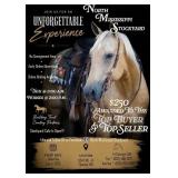 North Mississippi Stockyard Monthly Horse Sale