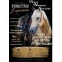 North Mississippi Stockyard Monthly Horse Sale