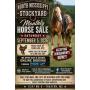 North Mississippi Stockyard Monthly Horse Sale