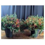 2 Pre-Lit Artificial Holiday Topiary Plants