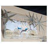 Box of Sand Dollars & Starfish