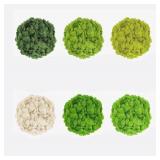 20/40/60g Eternal Life Moss Artificial Green...