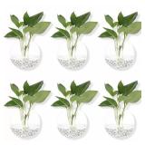 2/4/6/8 Pack Wall Hanging Glass Terrarium -...
