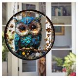 6in Round Acrylic Owl Bird Animal-themed Solar...
