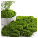 20/40/100g Eternal Life Moss DIY Crafts Grass...