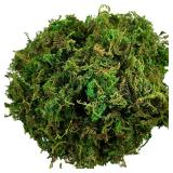 Artificial Moss Green for Potted Plant Orchid...