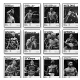 Boxing Fighting Star Canvas Wall Art Print...