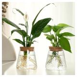 1pc, glass flowerpot breeding station vase rack...