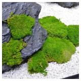 20/80g Eternal Life Moss Grass Mini Landscape...