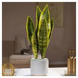 31/37cm Artificial Snake Plants Fake Succulents...