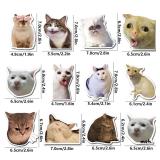 Funny Cat Fridge Magnets, Cute Animal...