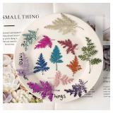 12PCS Set 4-7cm Artemisia Dried Leaves for...