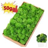 New 50/30/10g Artificial Green Plants Eternal...